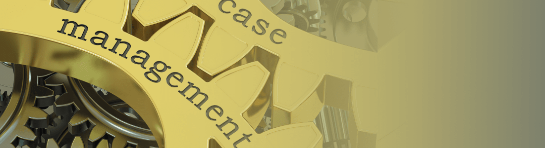 Case Management in Salesforce – Case Management Implementation