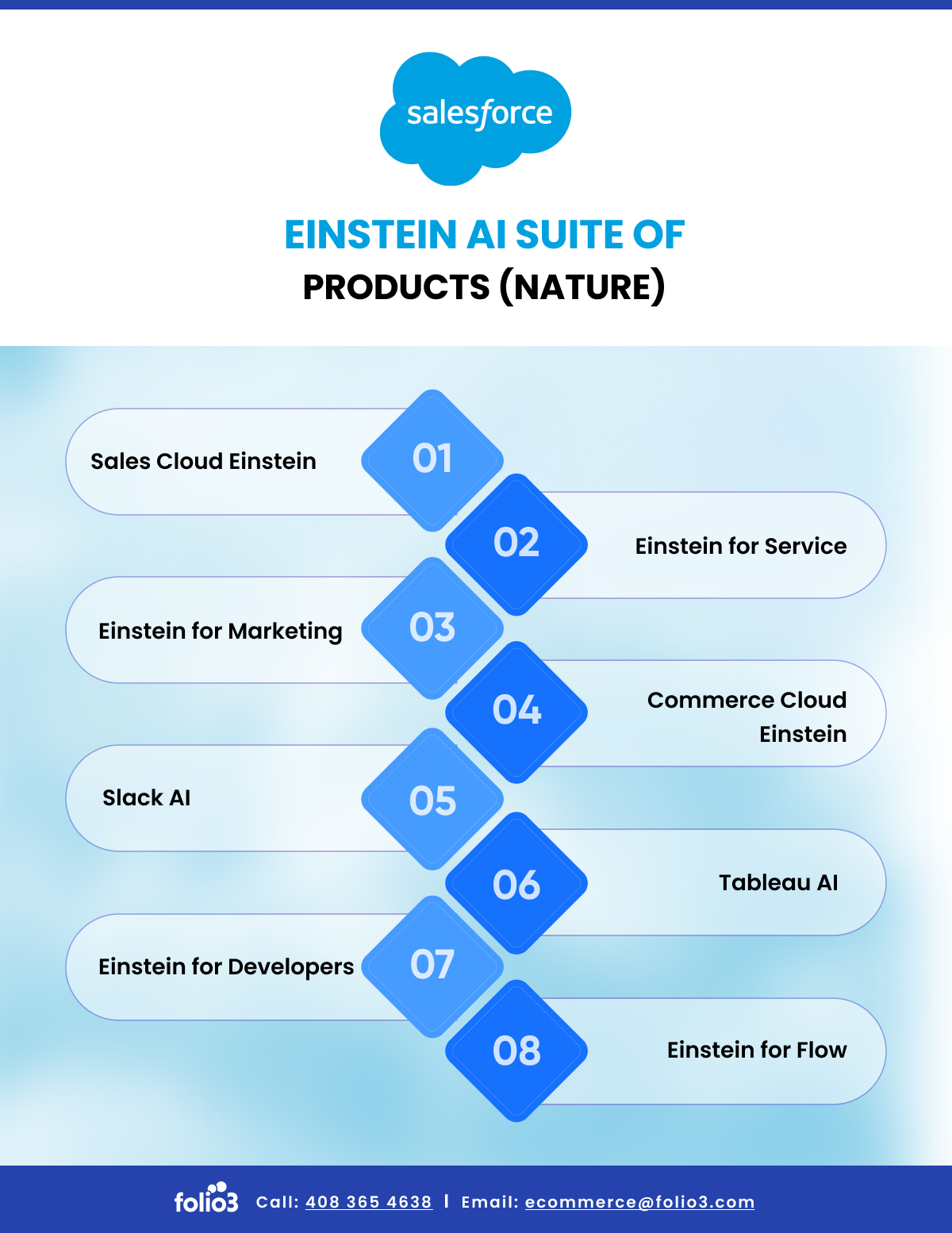 Einstein AI Suite of Products