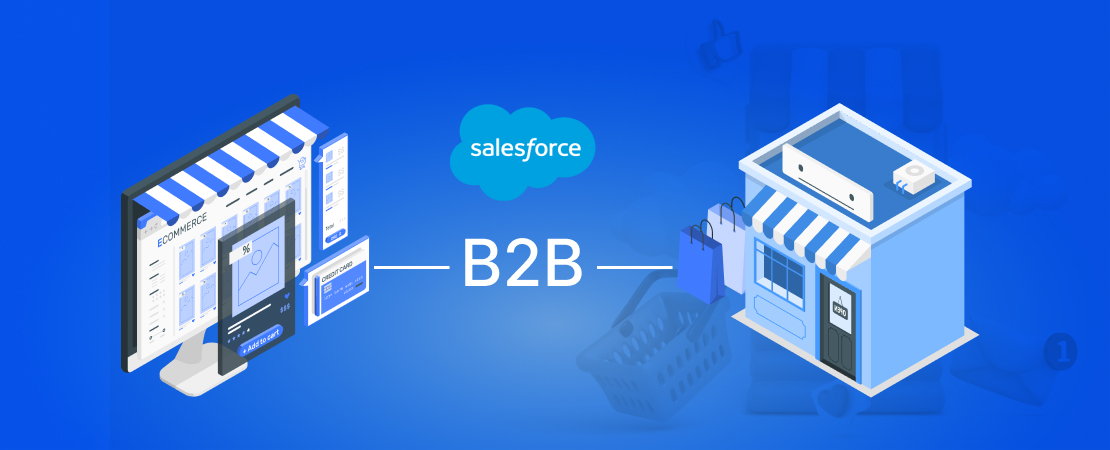  An Ultimate Guideline for B2B eCommerce
