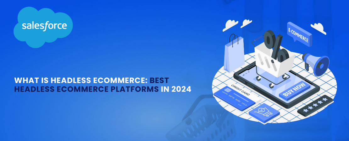  What Is Headless eCommerce: Best Headless eCommerce Platforms in 2024