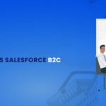 Salesforce B2B Vs Salesforce B2C Commerce