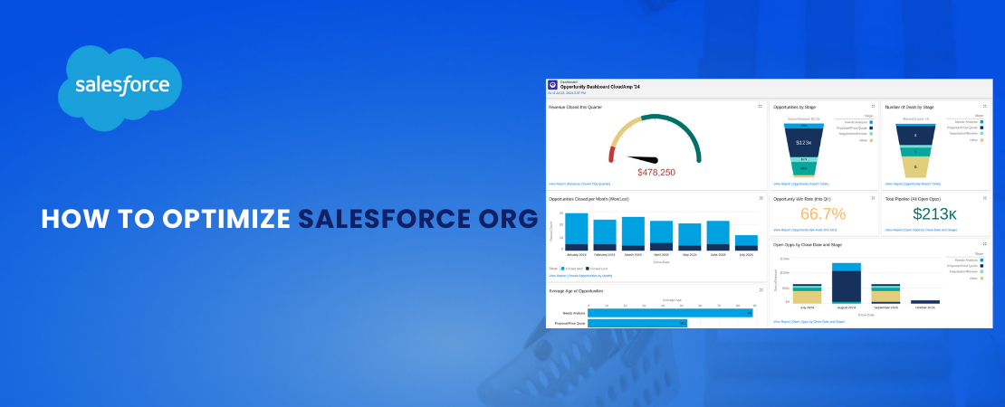 Optimize Salesforce Org